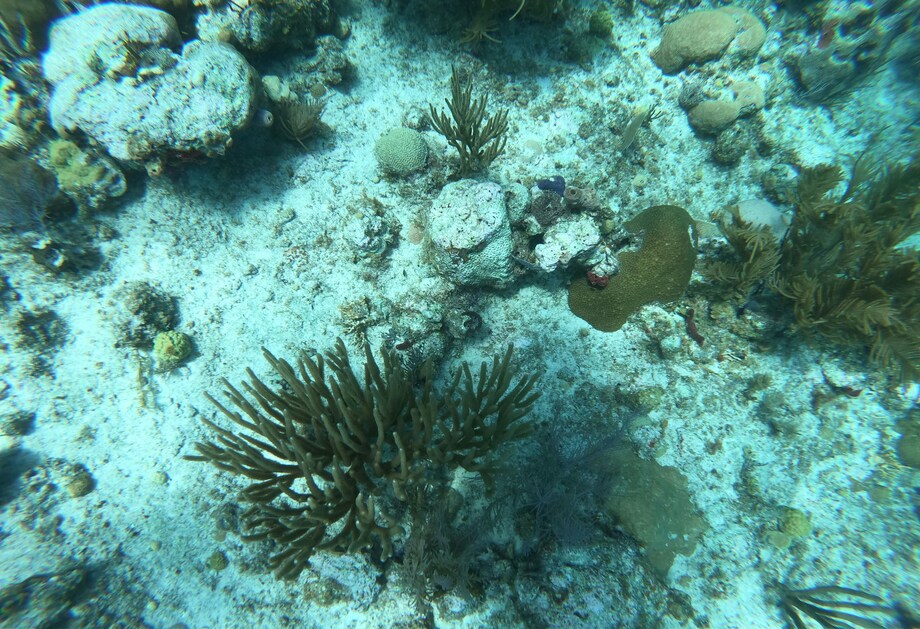Fundo do mar