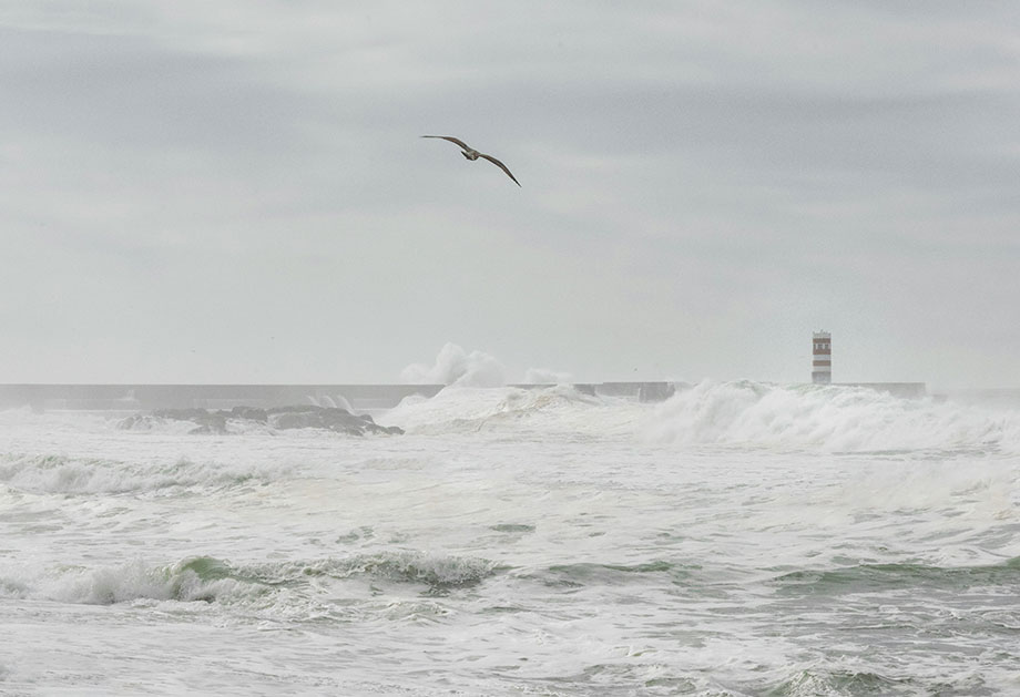 Agitacao Maritima (1)