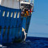 Greenpeace 1