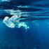 Oceano (1)