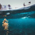 Oceano (1)
