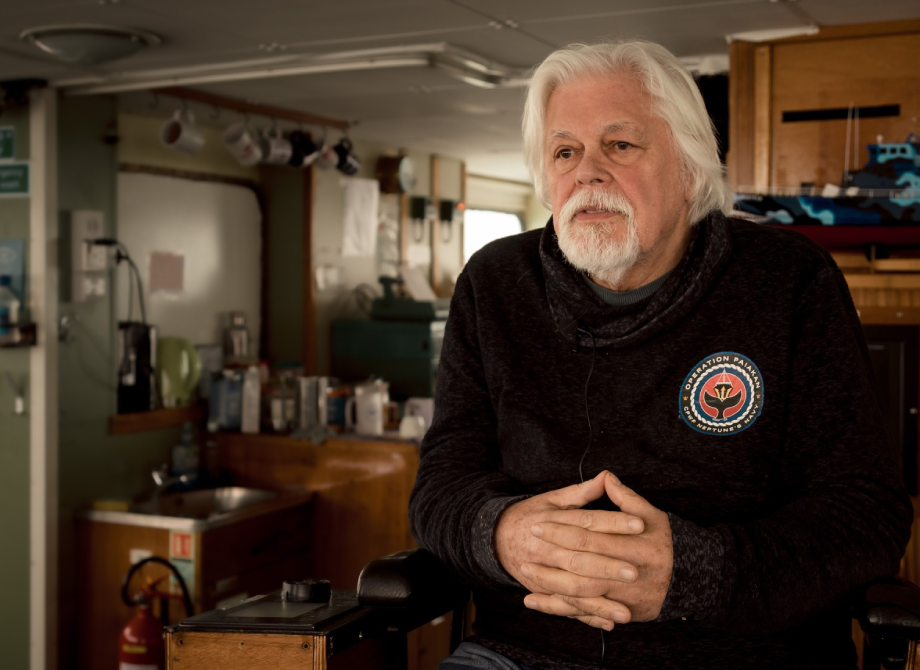 Paul Watson