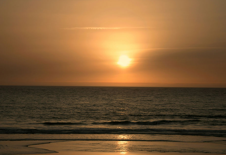 Sol (4)