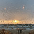 Chuva