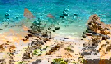 Prainha