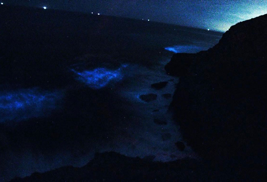 Azul Fluorescente