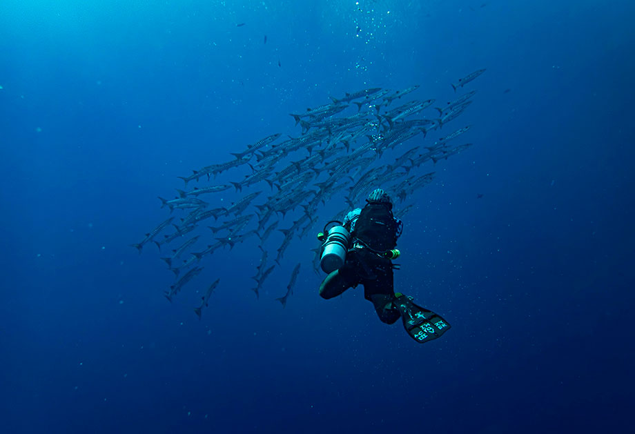 Peixes